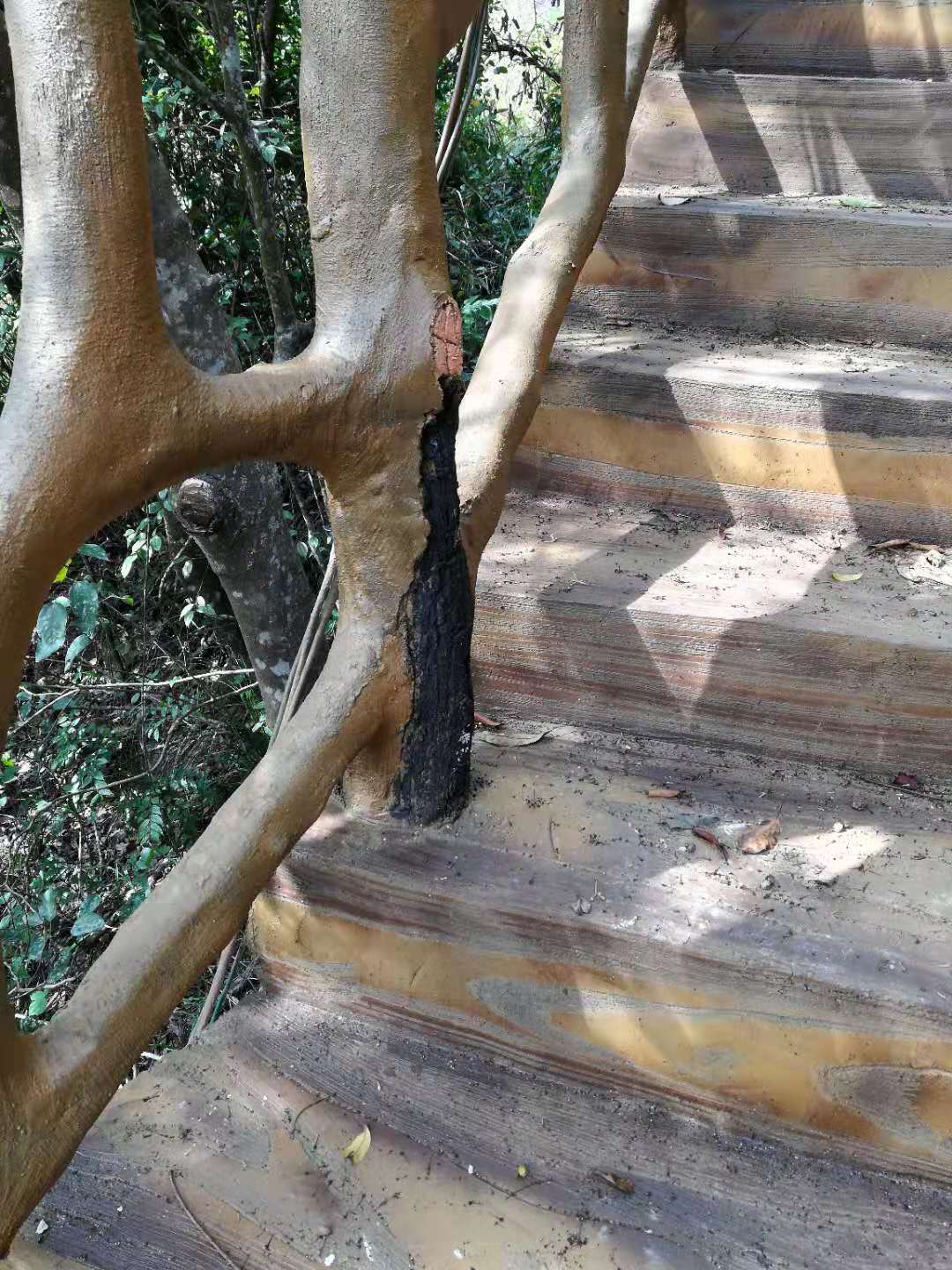栈道