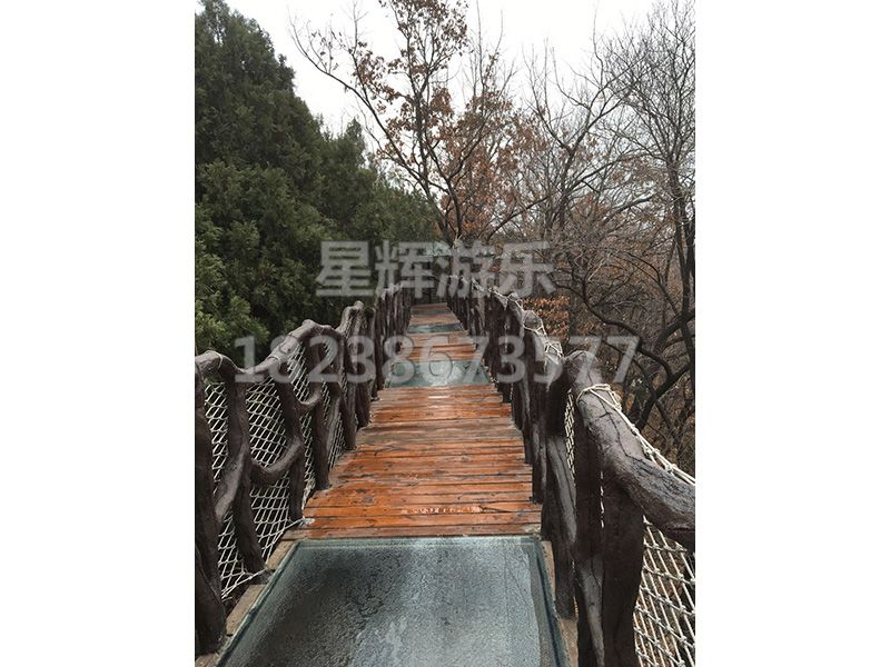 丛林穿越
